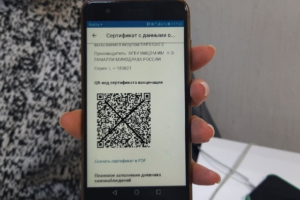 Qr Код О Вакцинации Фото Мужчина
