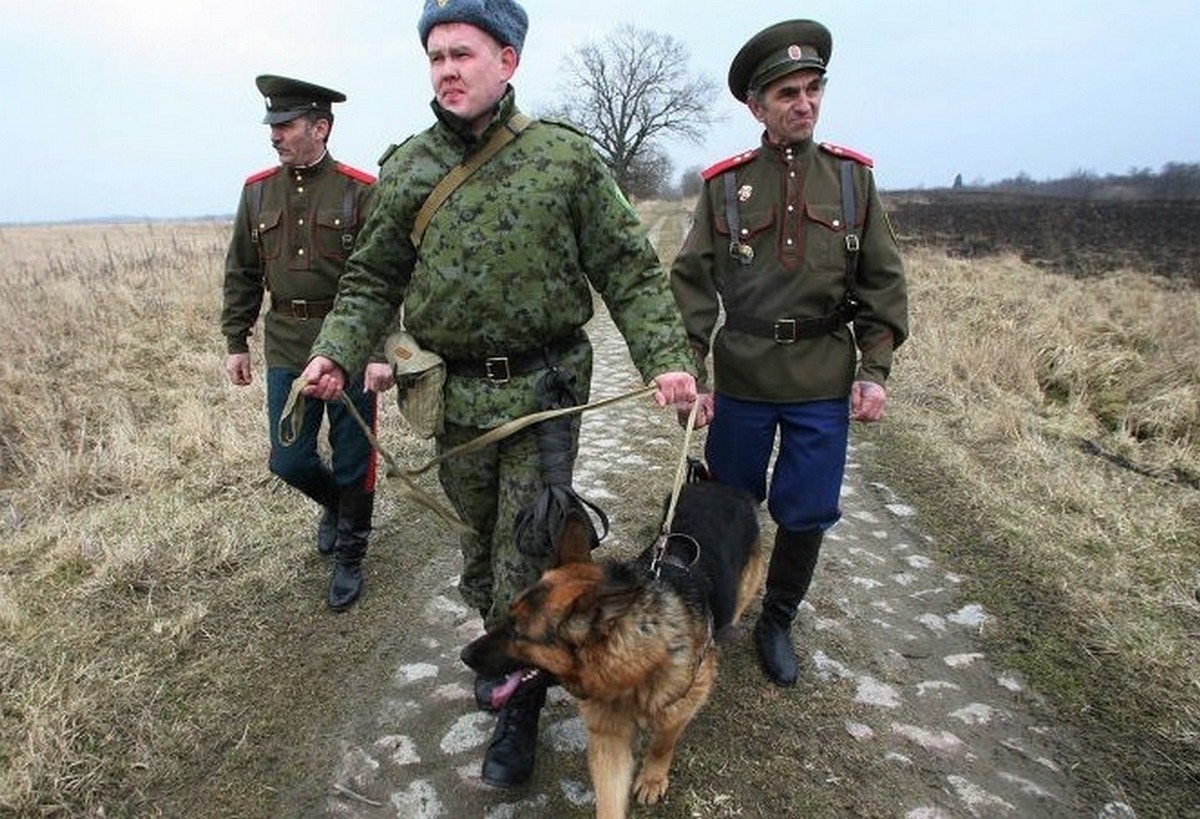 Восстановление государственной границы. Казаки пограничники. Охрана границы. Казаки на охране границы. Пограничная Казачья служба.