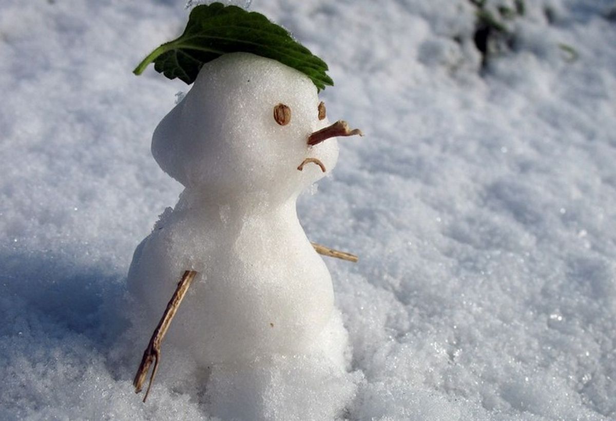 Кирилл Весноуказчик 27 февраля