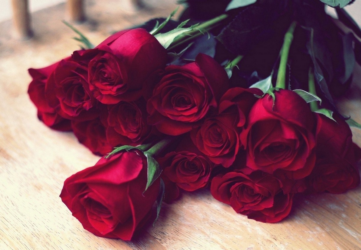 Темно красные розы букет